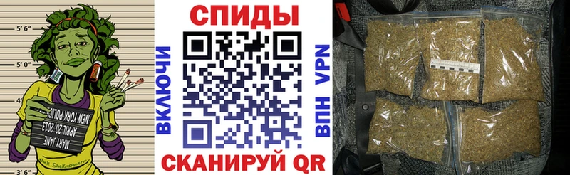 сколько стоит  Снежногорск  гидра онион  БУТИРАТ бутандиол 
