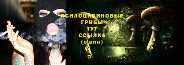 стафф Армянск