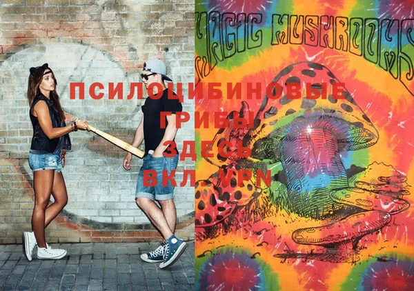 не бодяженный Алзамай
