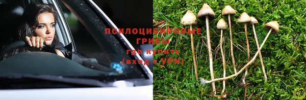 стафф Армянск