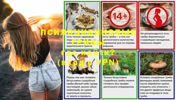 стафф Армянск