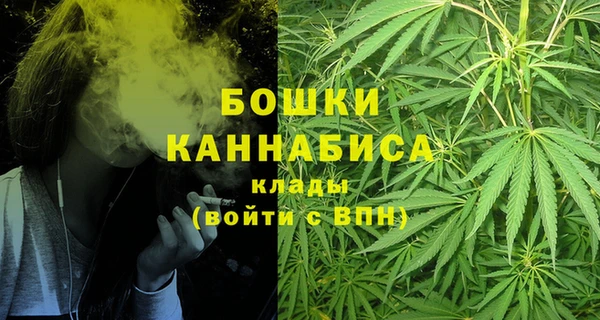 PSILOCYBIN Арсеньев