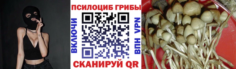 что такое   shop формула  Галлюциногенные грибы MAGIC MUSHROOMS  Снежногорск 